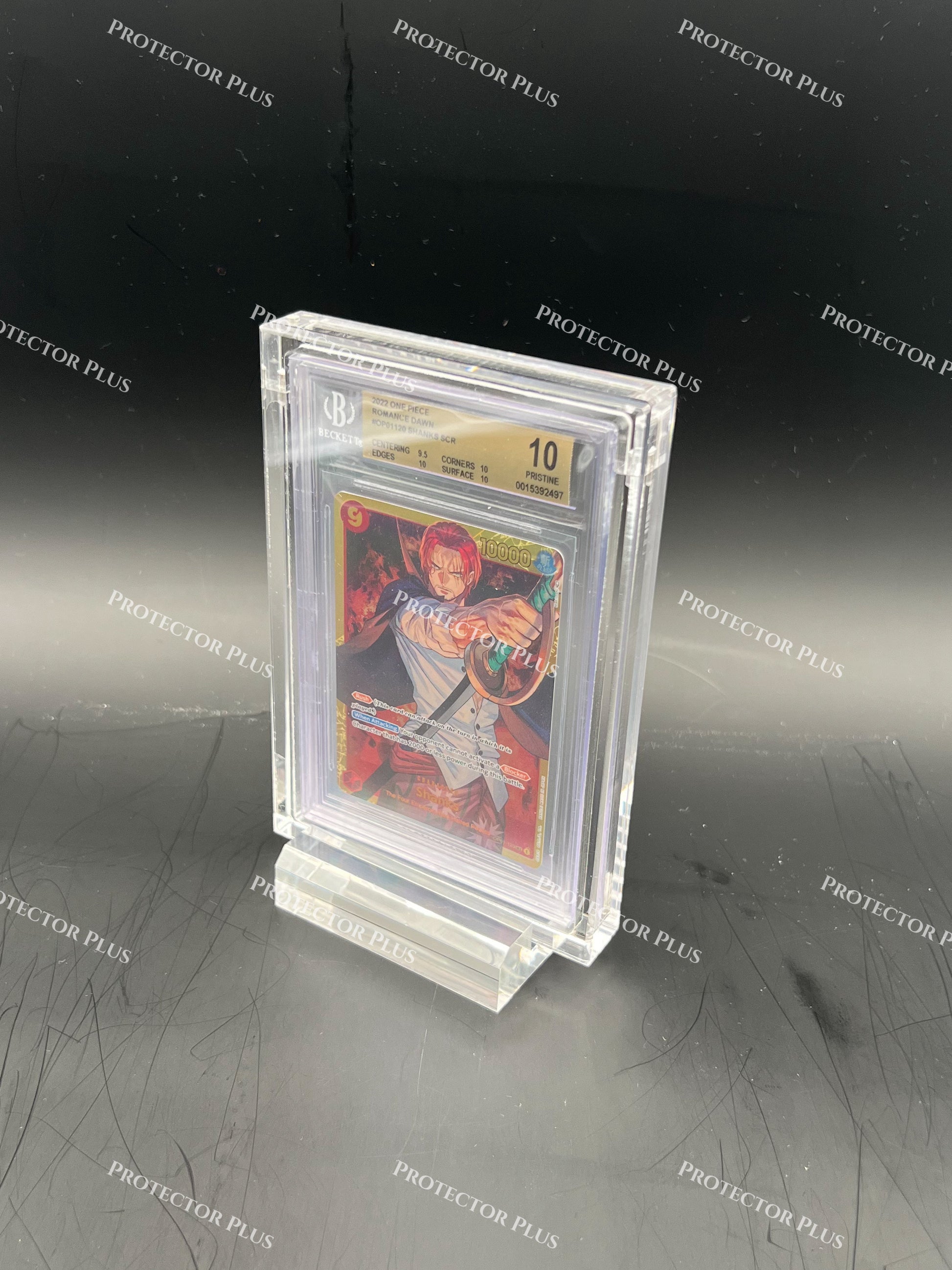 PREMIUM BGS Slab Acrylic Protector Case - Perfect Fit – Protector Plus